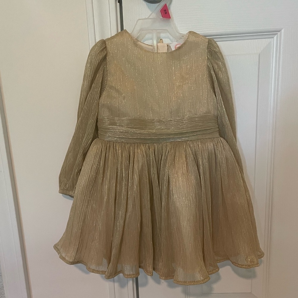 Girl’s party dress and shoes for 18 months old